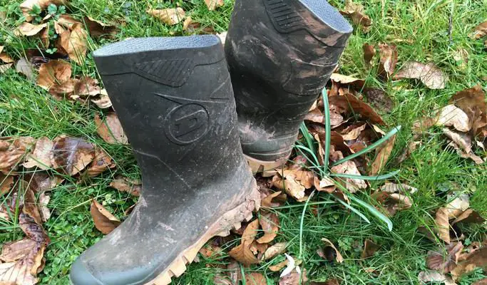 difference between standard and wide calf boots