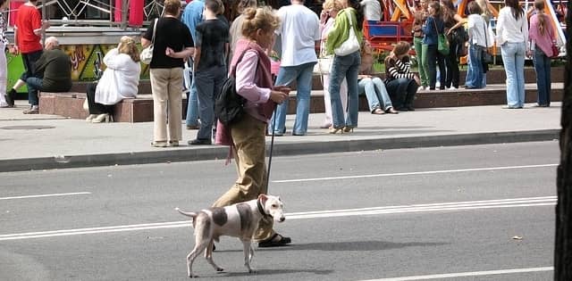 woman walking dog down the street