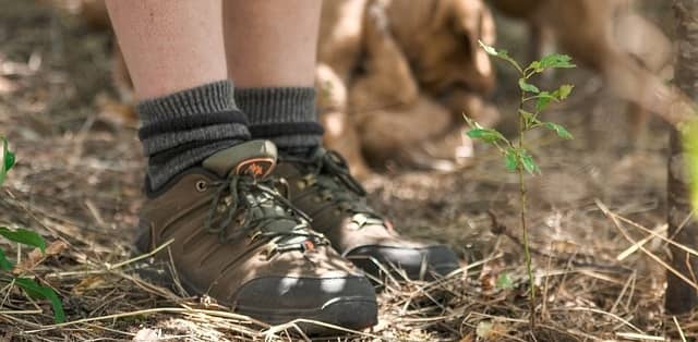 hiking shoes and socks